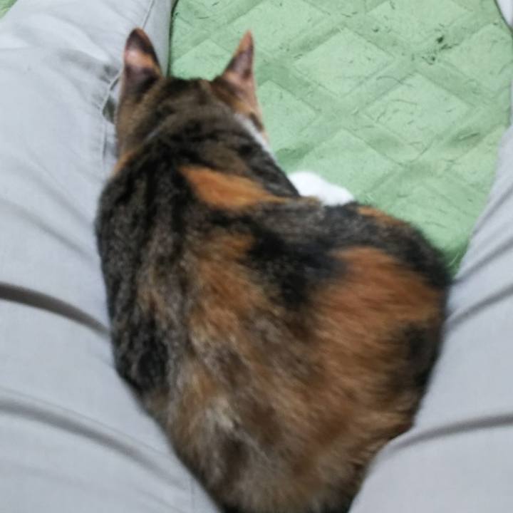 31d41f37 3032 41fc bf76 0f60f44343fb 1628385225630