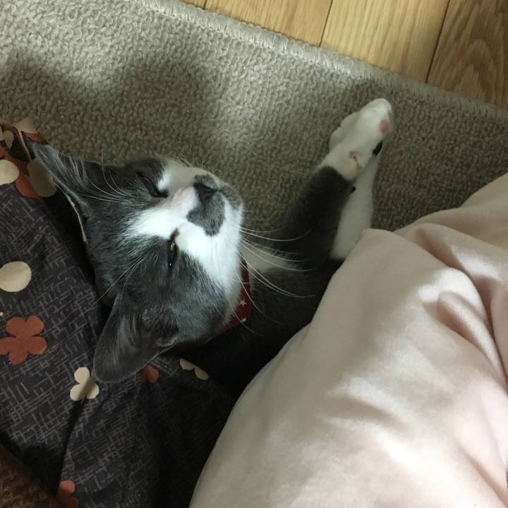 31d426ec 80a2 4202 b051 ba97b8875ae1 1520003195083