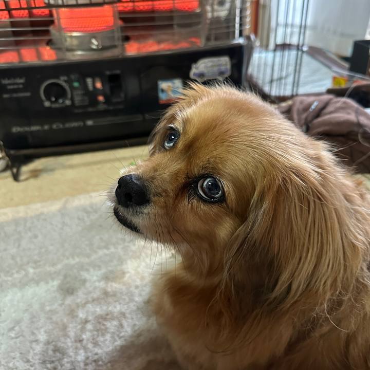 31d44b04 6542 452a 89de 6bd4dd89e995 1679001985071