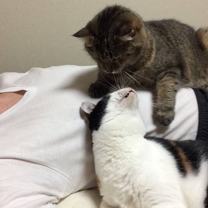 31d44fb1 62bd 4037 b93d d9f7e05627be 1600814808305