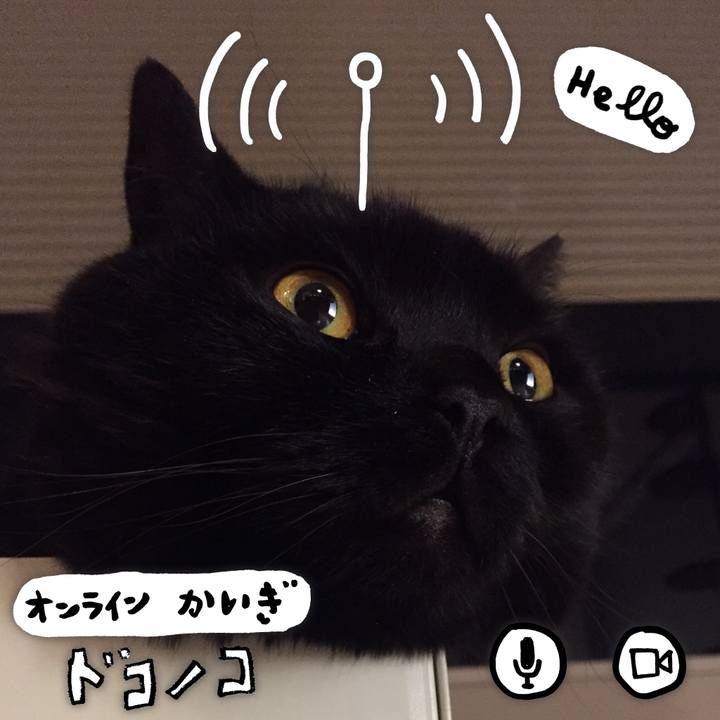 31d46255 d8a5 4b04 8e8a 344a77122a24 1590842296585