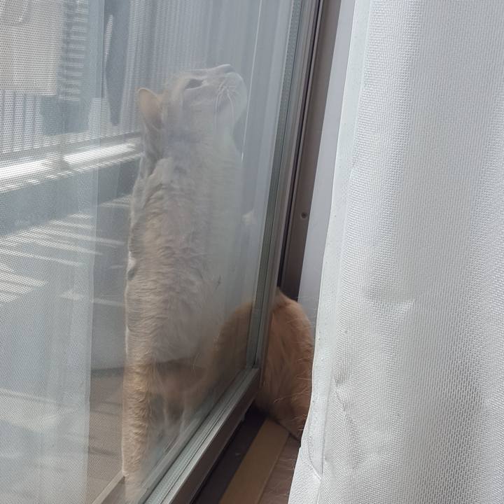 31d46f8d 3186 4fd4 8b3e da32f6af975d 1587098303450