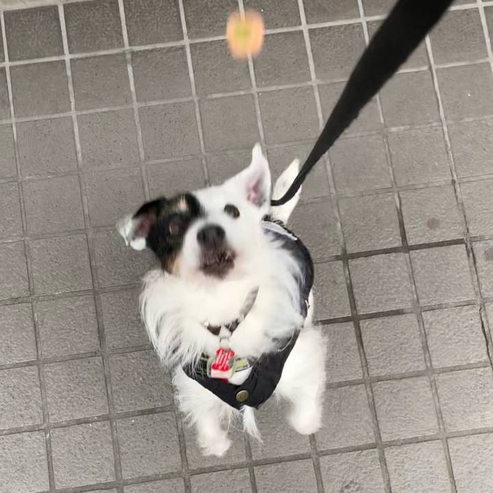 31d484a4 1f47 4db0 bf2c 0f1ebf994555 1709720056372