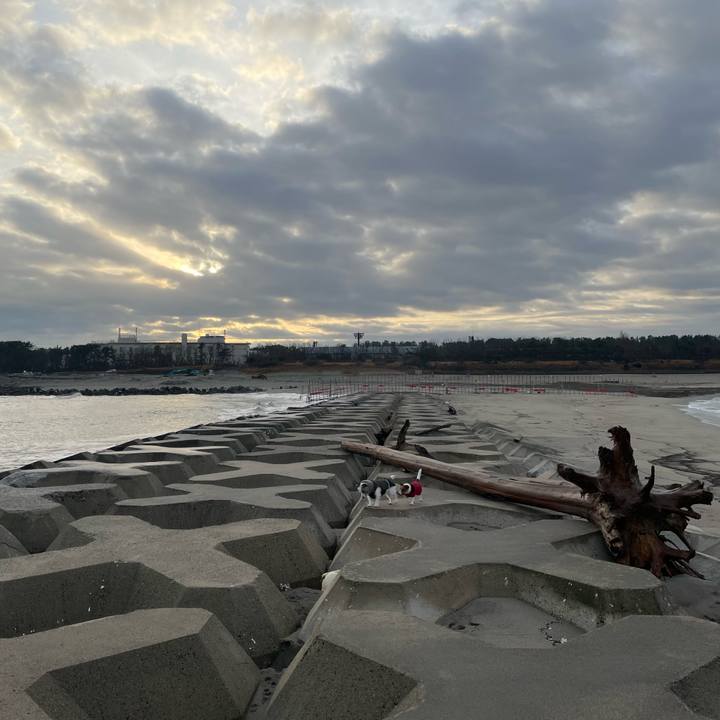 31d48b56 5b67 4e56 875c cd62e3e63b8e 1640304170497