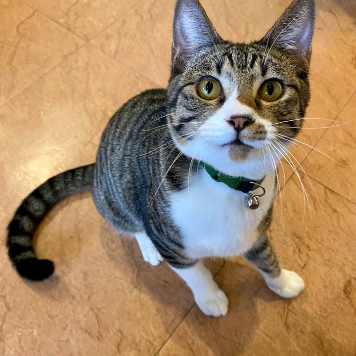 31d49799 619b 4831 a344 58fcd442c73c 1637828246325