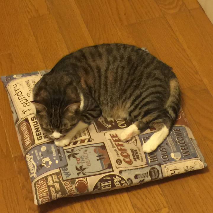 31d49f54 2066 4634 9c56 90652016f2c5 1558788384019