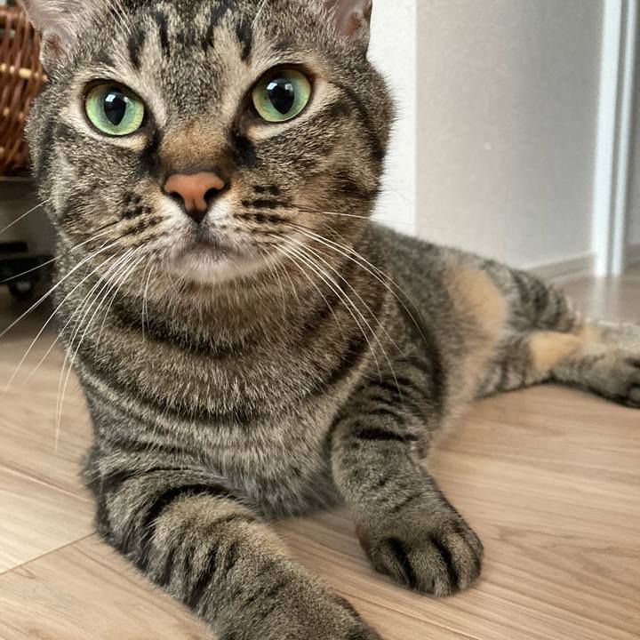 31d4c4f7 135d 4833 816a a55ee929bc5e 1595471322245