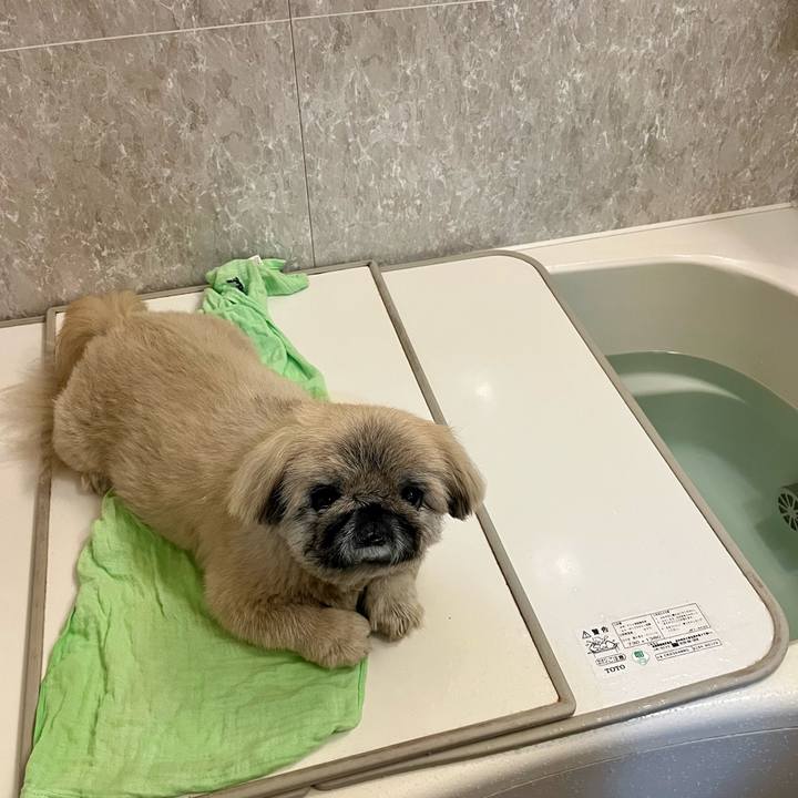 31d4e4cc 87a2 45c9 98d1 aa3a6a1abdec 1741083882547