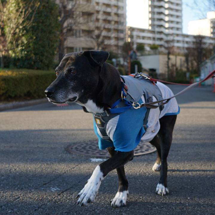 31d53524 8873 4132 b125 a5558c122953 1767056661377