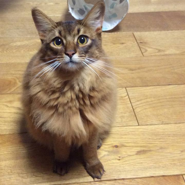 31d54799 0178 439e aeb9 20bf111cc647 1599528327910