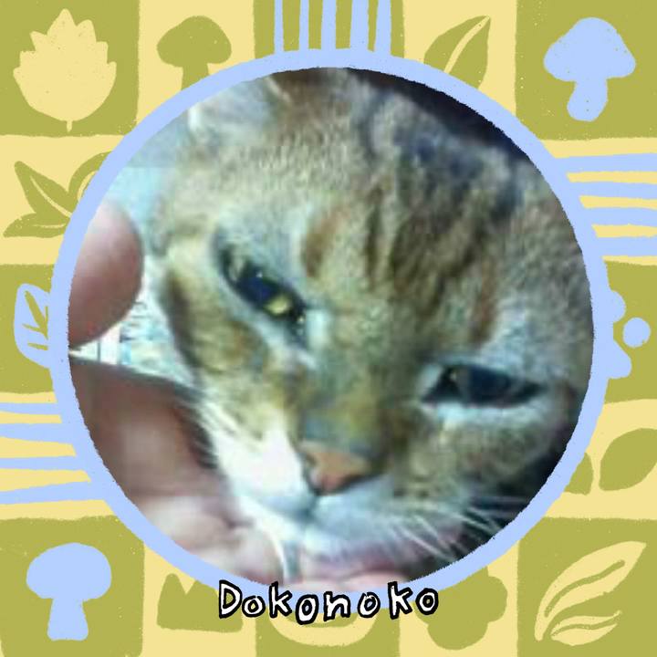 31d5736e 1da7 4a84 b5af df6e8e2b5187 1761142723960