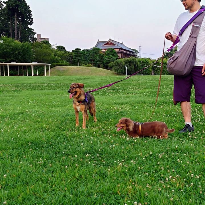 31d577ae 94c3 461f a68c ae31b4cdc048 1690108109523