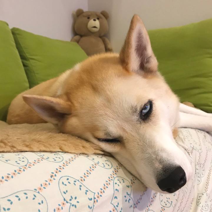 31d5a673 657a 430e bf05 a6193f2f85db 1522670084871