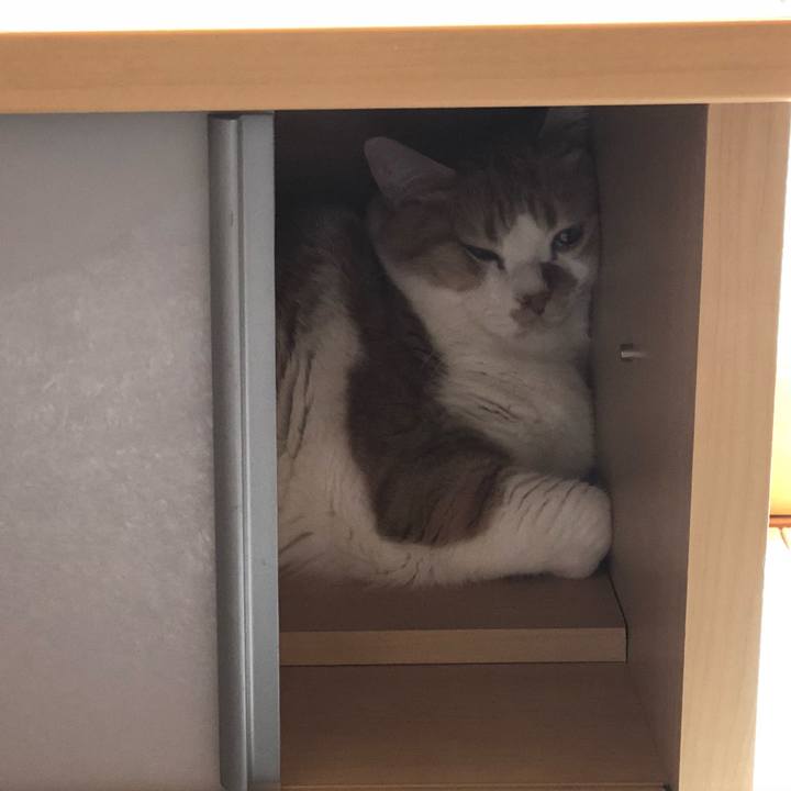 31d5c230 4f48 4f72 9944 3de613dc6530 1524633817619