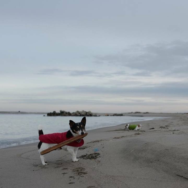 31d5fd00 e259 4aca b120 7518a284caf4 1515387110352