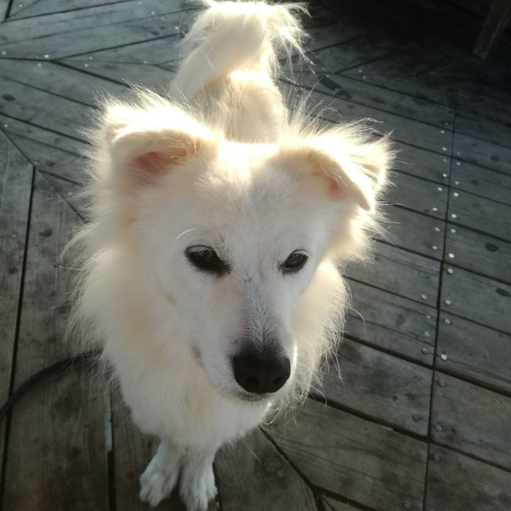 31d624af 012a 4f27 9653 36fd69b6c921 1510878745149