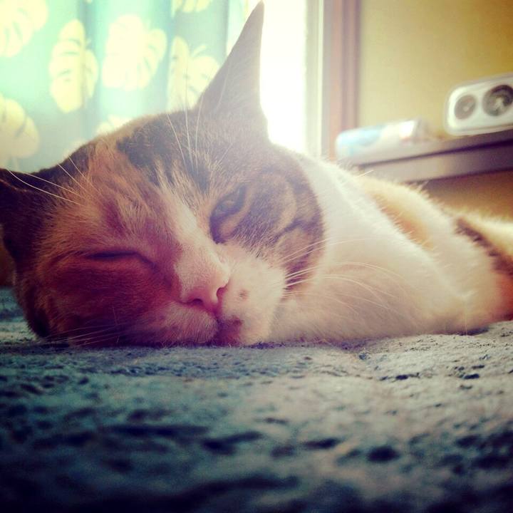 31d63170 553c 48b5 bc66 ca113c37acac 1545963219750