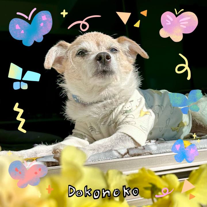 31d6410f 6cf2 4db1 8d45 9429ecd5634e 1711064405806