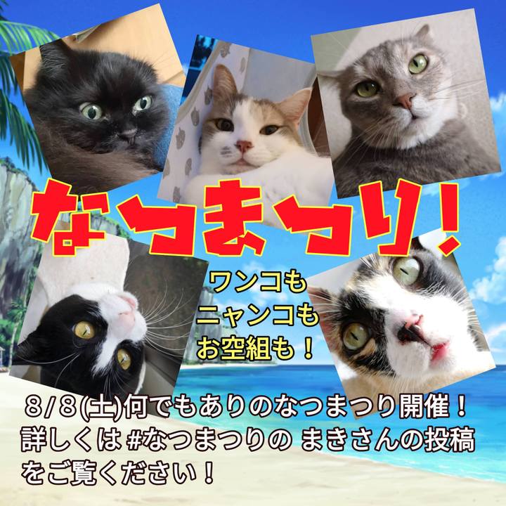 31d6ca1e 9d2f 4d80 9195 ec3ffb831665 1596635310833