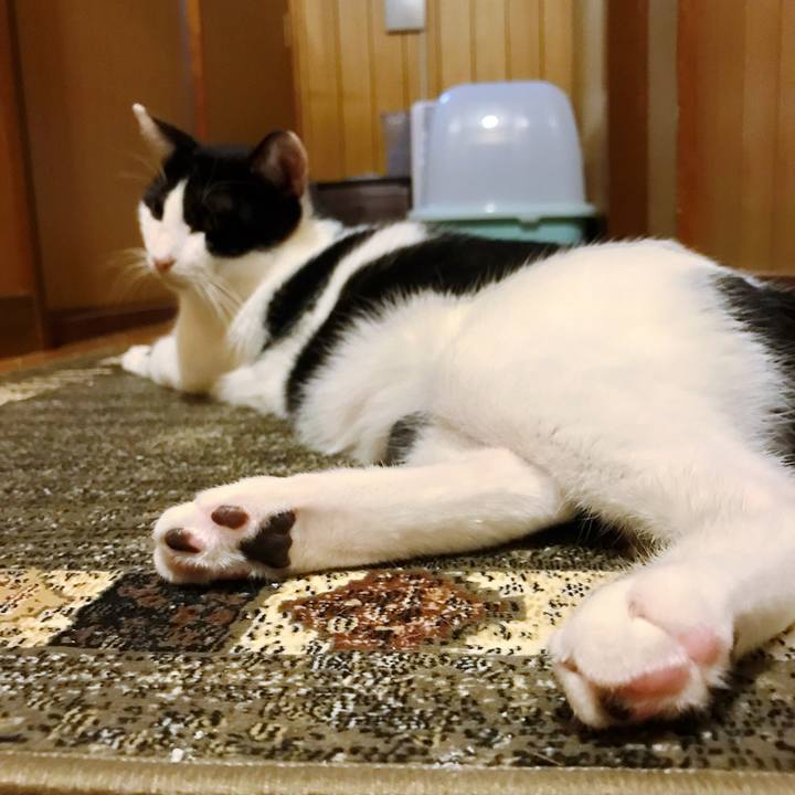 31d6d80f 8fcb 4bd0 838c 237f3d79ef2c 1507948626810