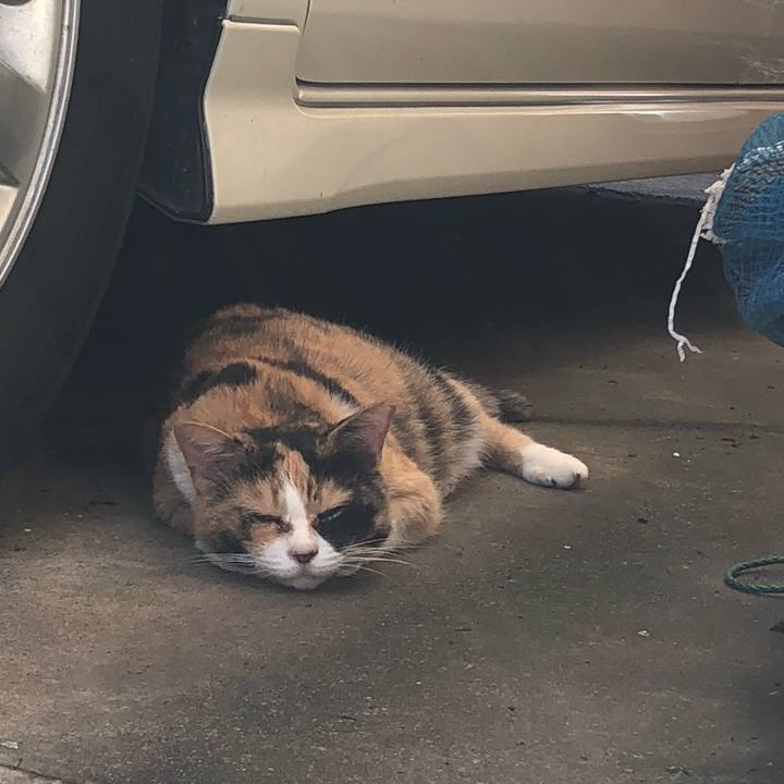 31d6df52 eecb 47d9 a9b5 b55d42e9ec67 1630703734850