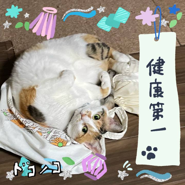 31d7311f 97d6 423c 8cb3 c095a1de7b94 1721273573347