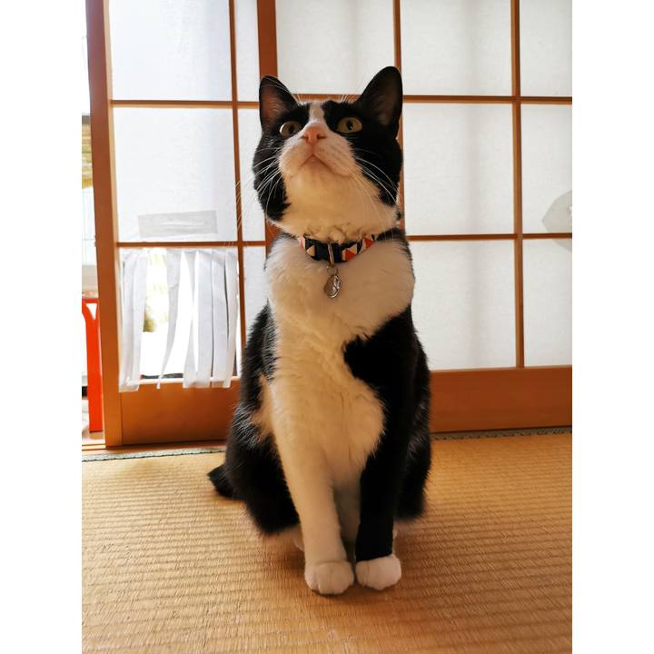 31d7502a 13d9 41d2 92b8 04265d2ded8e 1630986120548