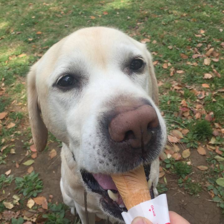 31d75166 3bca 4903 a22f 649d31ebd0de 1523518251652