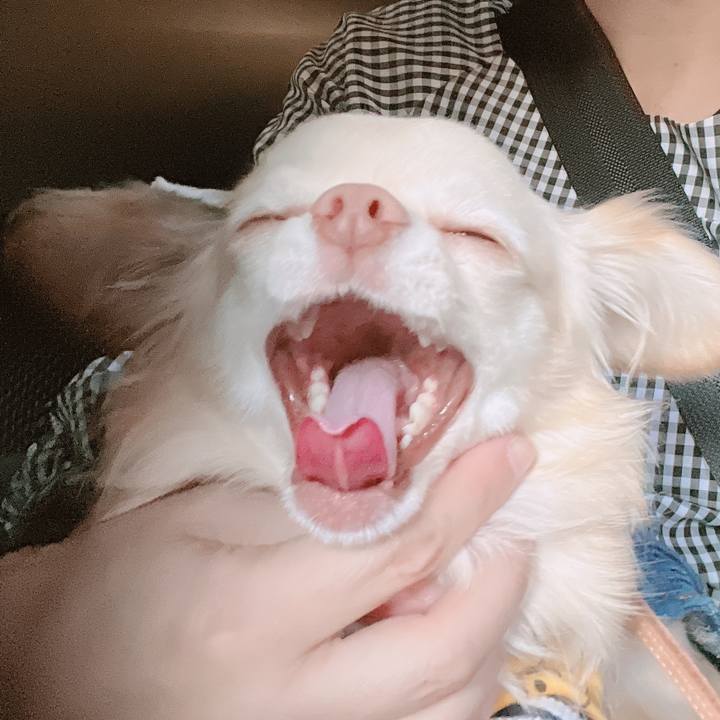 31d759a7 237d 413c b5b6 05b83d657c48 1673332402954