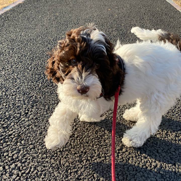 31d79efa 7482 4122 9aaa 88196cc27a41 1609136921403