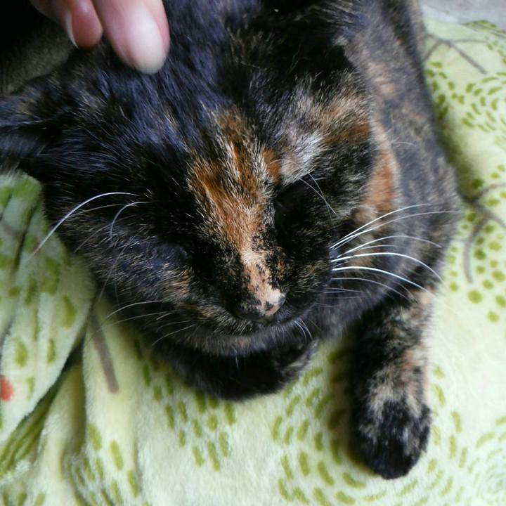 31d7ae64 163c 49f4 ab6c 9a04ddce722e 1543888068925