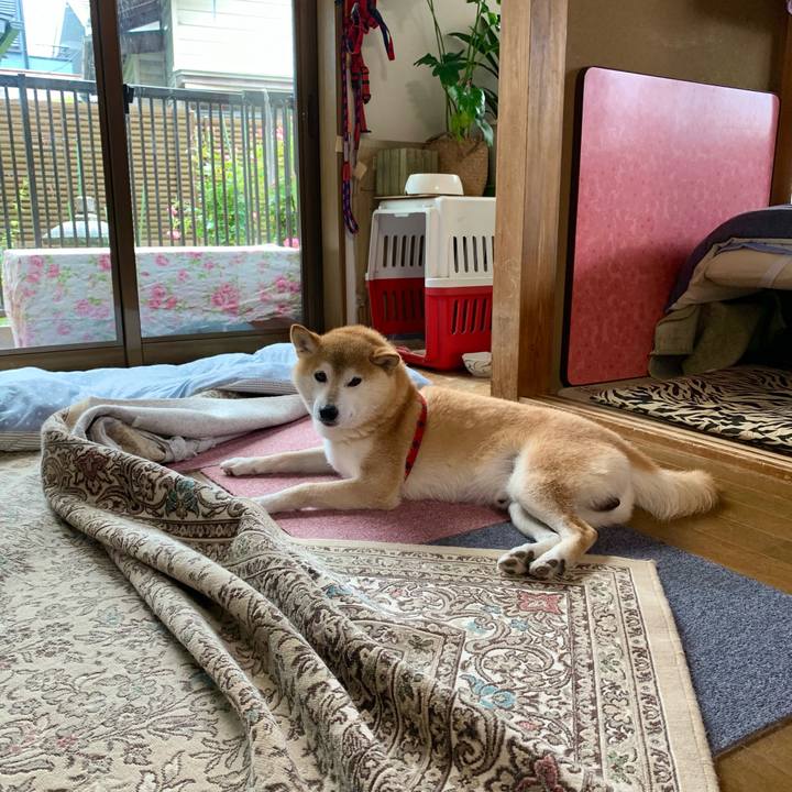 31d7b457 4508 4dd5 a0fb 48afc9badbcf 1657449866692