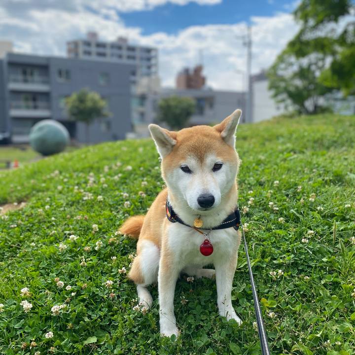 31d7c4fa 84da 4758 a1cf 5964d7f259ba 1625105497298