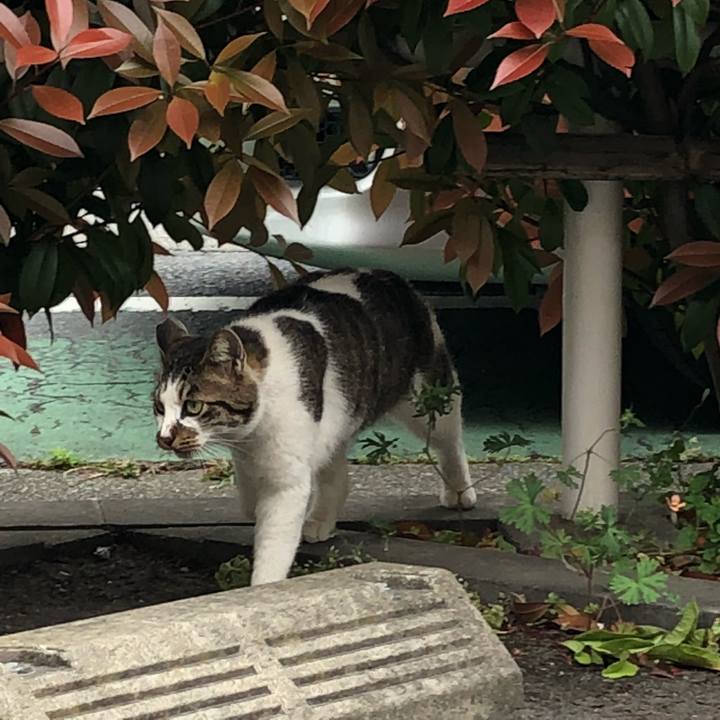 31d80030 1048 4d96 b395 c4ed62bcf2d9 1523867604376