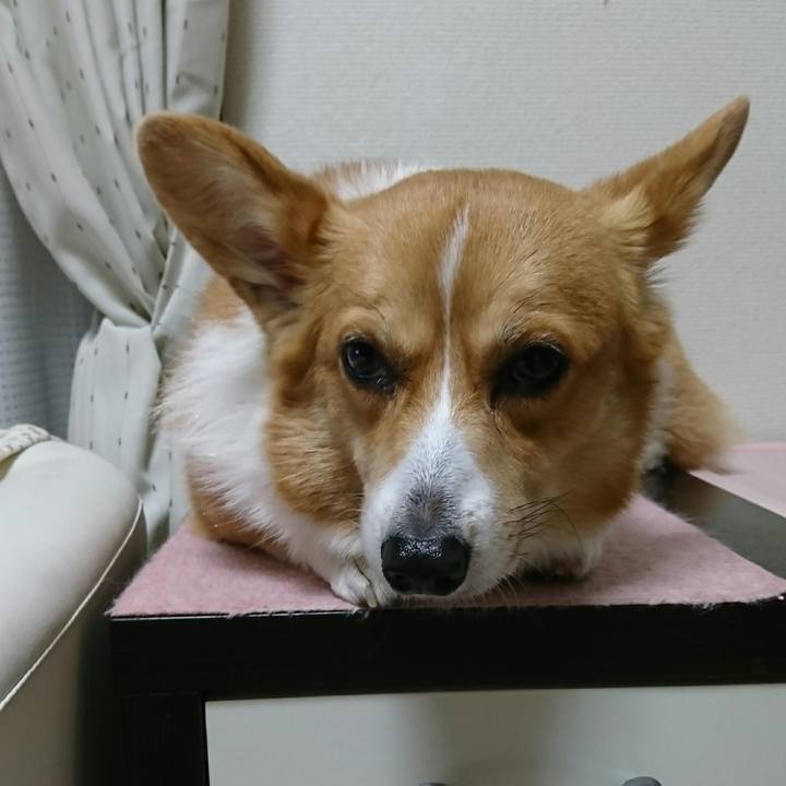 31d807d7 b2b4 4ab0 9e39 ad27d470999e 1512717978754