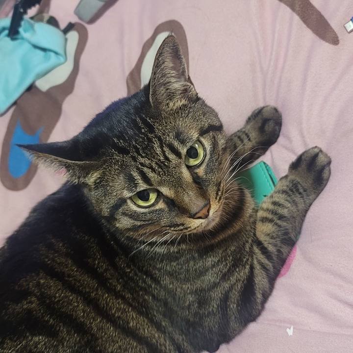 31d82aaa 61ba 4577 9d97 973e520907cd 1633271312167