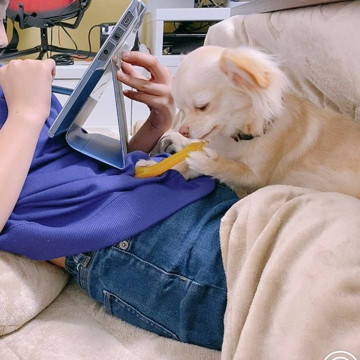 31d85c1a 1647 4dd5 a197 9c229f7070b2 1611564470556