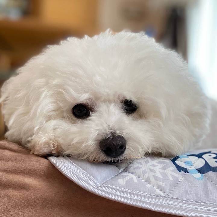 31d85cb1 3721 4038 b341 796612ed2dbe 1664332308471