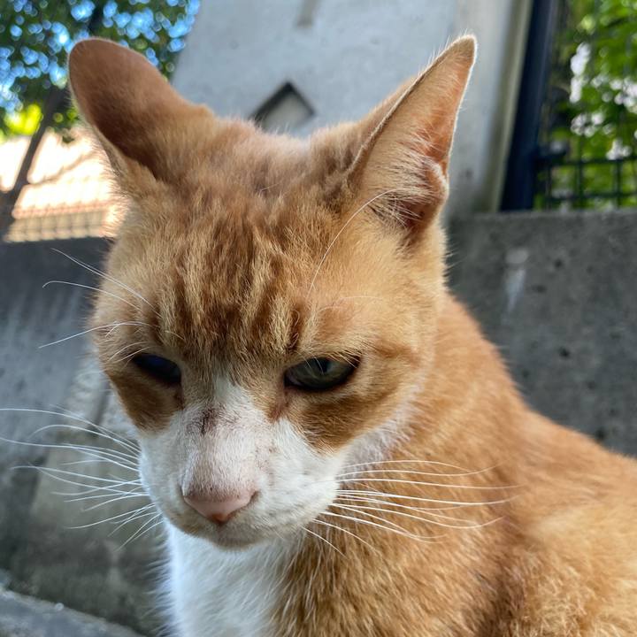 31d8d3a8 2bd1 4571 b64f 74aaeacea6f1 1662816923220