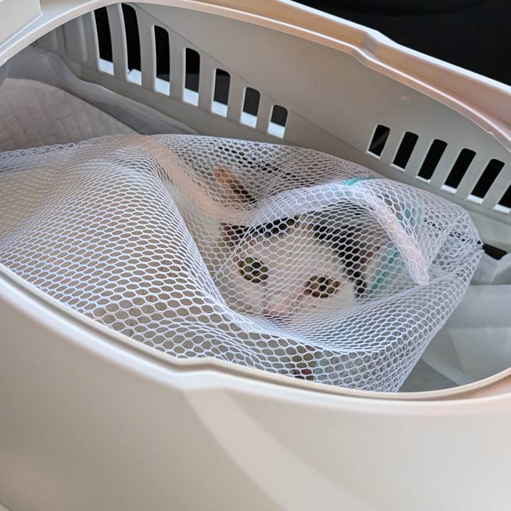 31d8dca8 290f 415f 9ad7 e63f97744cc5 1718850188400