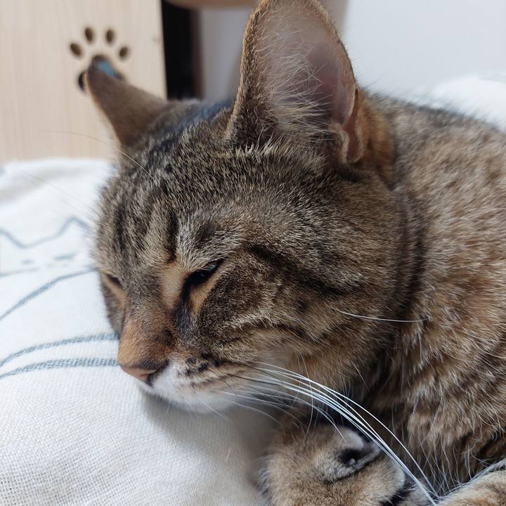 31d8ea56 5fa7 4e13 bc1a fc8780e4563b 1712960010166