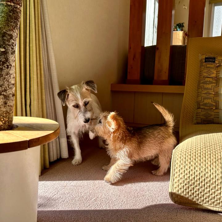 31d8f0dd b708 477a b302 8995c9969ba2 1701892048620