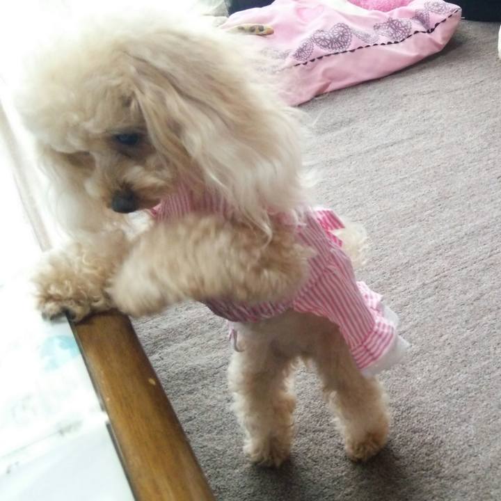 31d940ae 5419 4e3b 9532 f3d6030b151b 1532940419636