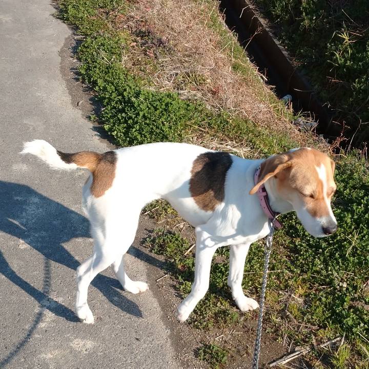 31d99b37 3807 4de5 af7f f3ccc33337bd 1582877284298