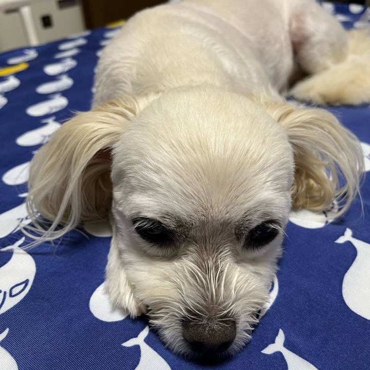 31d9a572 5cef 4858 8a62 456615369bb4 1694175213939