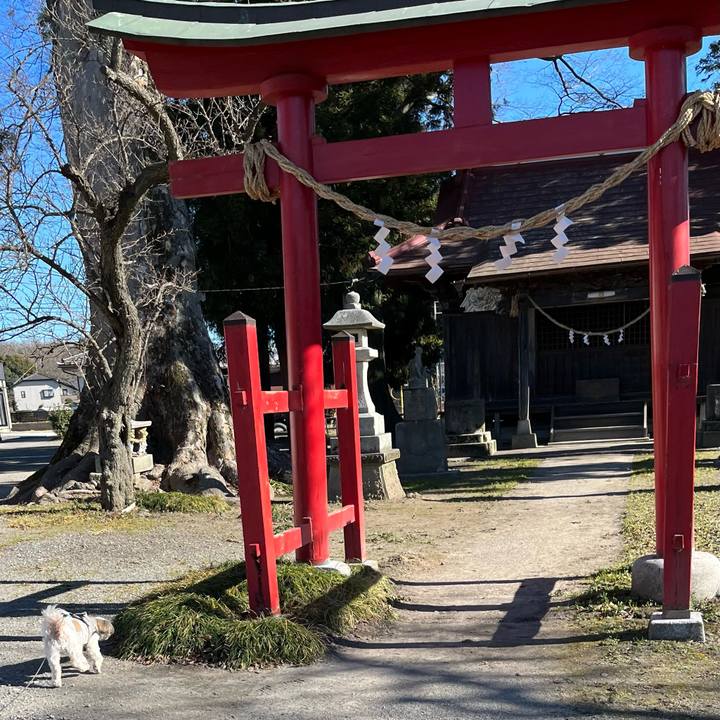 31da0fdb 9220 467c a7c9 9290b04fb29d 1672569862104