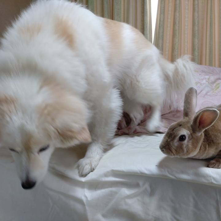 31da1306 613f 4b5a a70c f42985b4c5e8 1651803810881