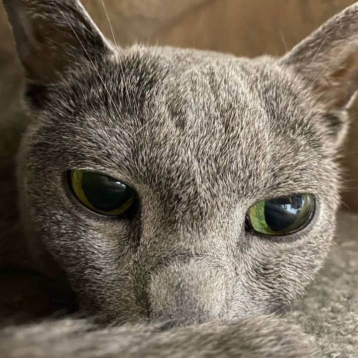 31da1d18 a69b 47ab bdee db636db0ef1b 1617625992775