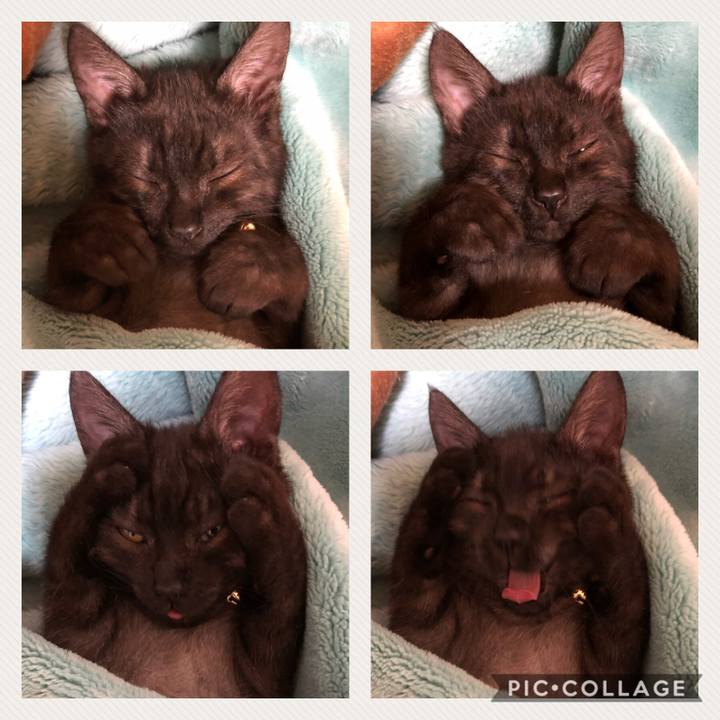 31da244b 5f98 4978 81c1 0ed5bd218555 1608334577605