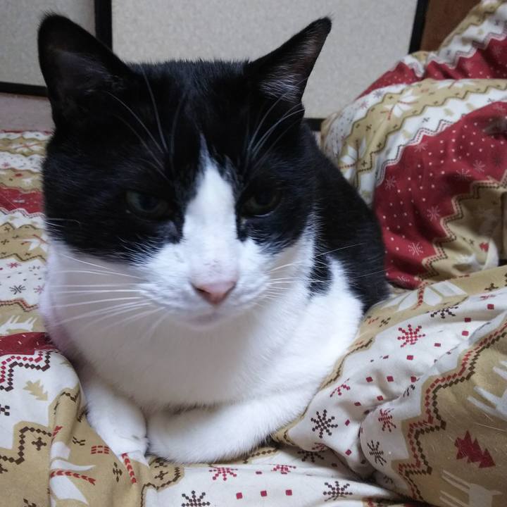 31da6627 622e 4bf6 9319 97a3d8abf108 1553556990109